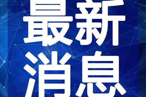 张家口新娘爆料视频最新,揭秘婚礼现场惊人内幕 第2张 张家口新娘爆料视频最新,揭秘婚礼现场惊人内幕 第2张